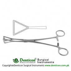 Lovelace Lung Grasping Forceps Stainless Steel, 20.5 cm - 8"